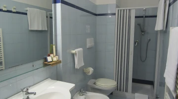 Bathroom with shower in Standard Room