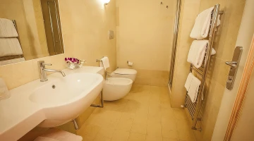 Bathroom in Standard Room