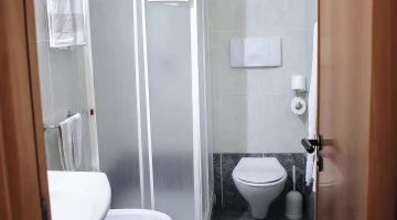 Private bathroom with shower box