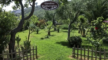 Large garden