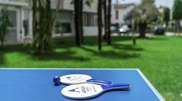 Tavolo da ping-pong