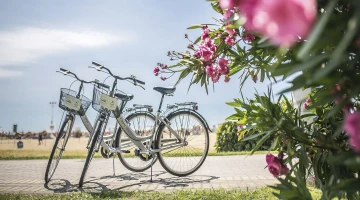 Bike rental on site