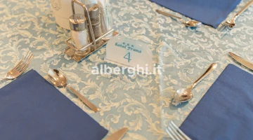 Detail of the set table