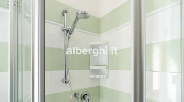 Shower detail