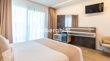 Double room with desk and balcony