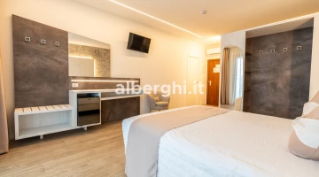 Room with luggage rack and TV