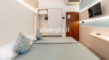 Room with two beds and TV