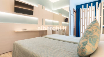 TV and desk in double room