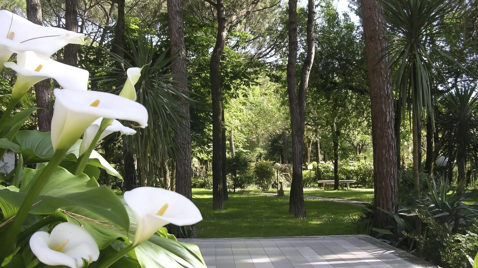 Dettaglio del giardino con fiori