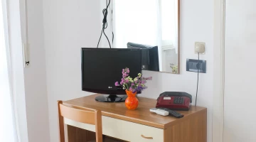 TV and telephone in the room