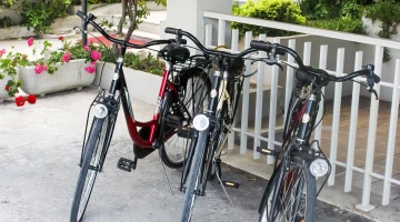 Bike rental