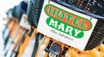 Bike rental