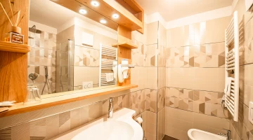 Private bathroom with shower box in Suite