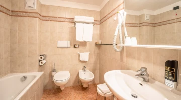   Bathroom of a Suite with bathtub
