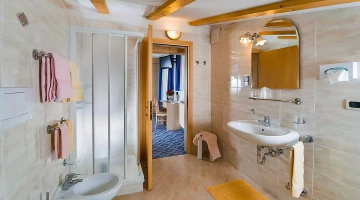Salle de bain privée avec cabine de douche