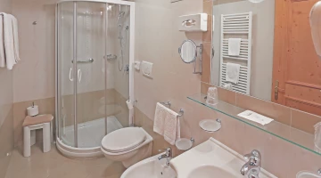 Salle de bain privée avec cabine de douche
