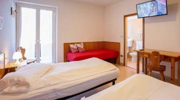 Room with desk, TV and private bathroom