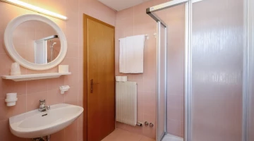 Private bathroom with shower box