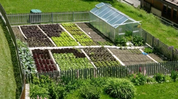 Orto biologico in giardino