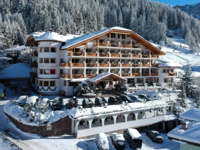 Hotel Cesa Tyrol