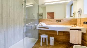 Private facilities with shower box and wall-mounted hairdryer