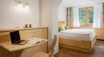Room with living area