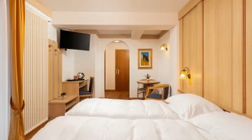 Room with two beds and TV