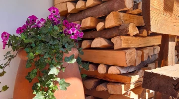 Blumen im Garten