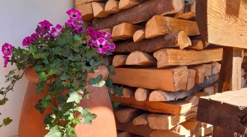 Fleurs dans le jardin