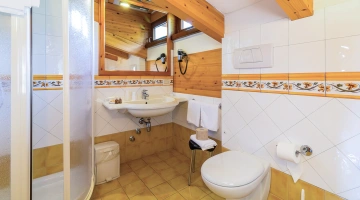 Private bathroom with shower and hairdryer