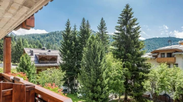 Balcone vista montagna