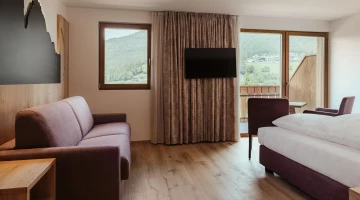Sofa and satellite TV in the room