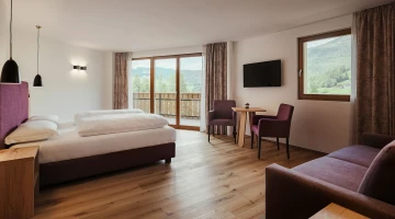 Room with terrace and mountain view