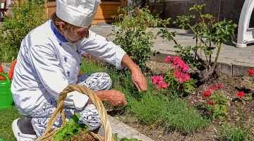 Chef and direct cultivation of herbs