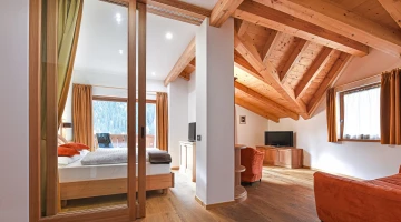 Suite with sleeping area and living area