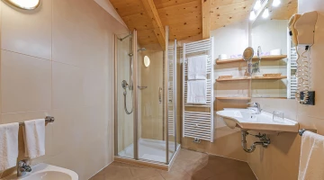 Bathroom with shower and hairdryer