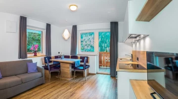 Apartment with kitchen and living room