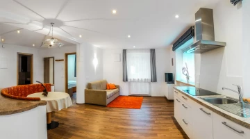 Apartment with equipped kitchen