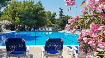 Poolside loungers