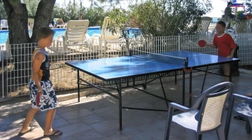 Ping pong table
