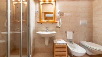 Bathroom with shower and hairdryer