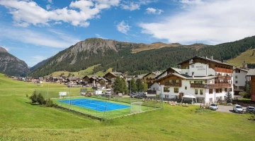 Tennis court and garden