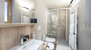 Private bathroom with shower box