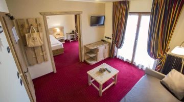 Suite with sleeping area and living area