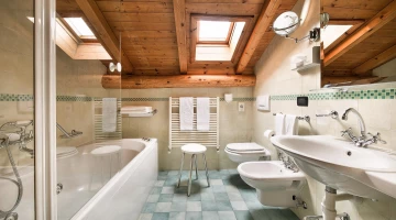 Bathroom with shower and bathtub in Suite