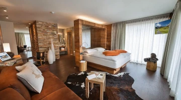 Room with living area