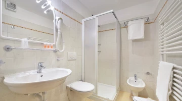 Bathroom with shower box