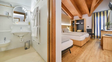 Triple attic room with bathroom