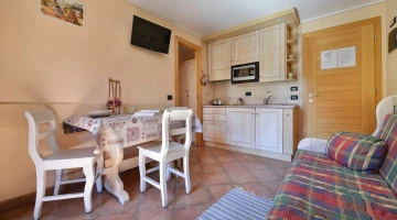 Apartment with living room and kitchenette