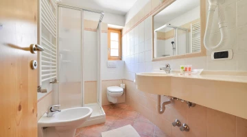 Bathroom of an apartment with hairdryer and shower box